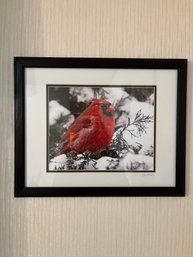 One Painting & One Original Photograph Of A Cardinal Signed & Framed
