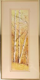 Framed Watercolor Birch Trees