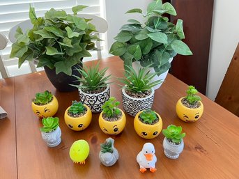 Don't Worry, Be Happy!!! Faux Plants, Fun Pots, Easy To Keep!