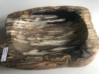 Thick Shallow Petrified Wood Candy Bowl , 8 LB , 9 Inch By 7 Inch