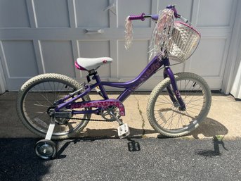 Purple Basket Bike