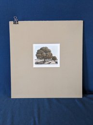 Signed And Numbered Colored Engraving Of Trees In A Meadow