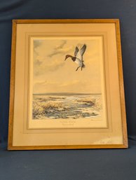 Pencil Signed Roland Clark 'Winter Marsh Canvasback' Hand Colored Print