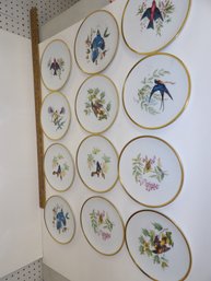 Set Of 12 Hutschenreuther 8' Plates With Audubon Bird Decoration