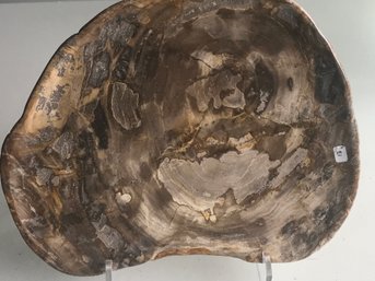 Petrified Wood Plate, 10 1/2 Inch By 9 Inch