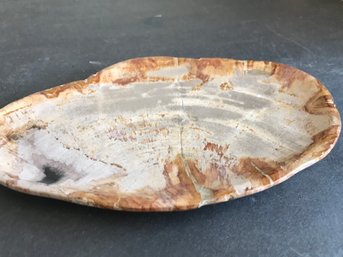 Palm Petrified Wood Plate, 10 Inch By 7 Inch, 2 LB