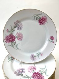 12 Bavaria Tivschenreuth Carnation Dinner Plates Germany