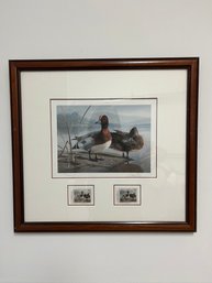 Limited Edition Signed Print Of Migratory Bird Hunting & Conservation Stamps European Wigeon