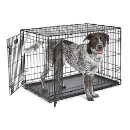 NEW Icrate Double Door Intermediate Size Dog Crarte