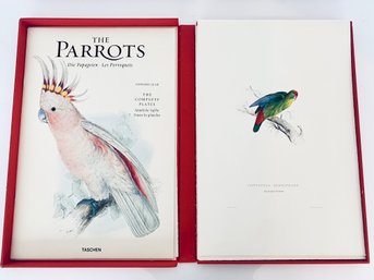 The Parrots Portfolio By Edward Lear (1812-1888) / 38 Taschen Art Prints In Box