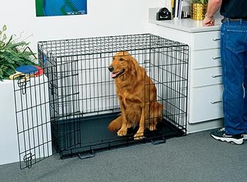 Large  Dog Crate By Life Stages