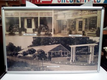 Vintage Local Poster, Metal Framed-3 Photos Of Moraio Bros. Florists In Rye, NY, Stamford And Greenwich, CT WA