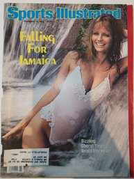 Si 83 Swimsuit Cheryl Tiegs