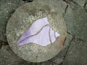 Concrete Paver With Stained Glass Shell Design