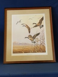 Pencil Signed And Numbered Limited Edition Dave Chapple 'Autumn Mist - Canada Geese' Lithograph