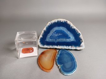 Collection Of Geodes With An Amber Stone With Petrified Bug