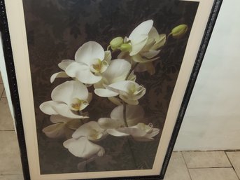 White Orchards Modern Wood Frame Unsigned