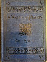 1890 1st Ed A Waif Of The Plains