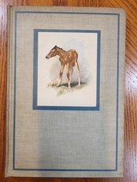 John Steinbeck The Red Pony 1st Illustrated Ed 1945