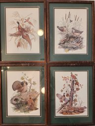 4 10 By 13 Framed And Matted Wild Birds Prints