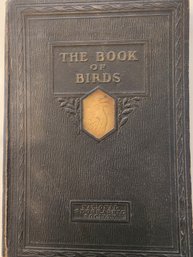 1927 The Book Of Birds, National Geographic