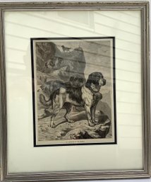 178. 19th C St Bernard Dogs With Brandy Barrels Engraving