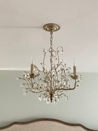 Pottery Barn Elegant & Petite  Crystal Chandelier