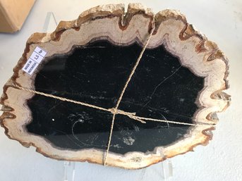 Petrified Wood ,Slab / Cheese Tray, 3 LB 5 Oz, 9 Inch By 8 Inch