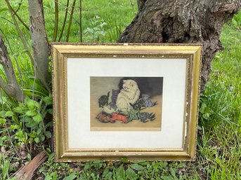 Carters Kittens Framed Print