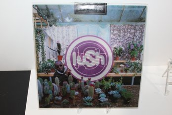 1996 Lush - Lovelife - Limited Edition - Clear Vinyl - Sealed Thus Mint - UK Import