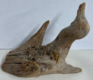 Piece Of Drift Wood Decoration