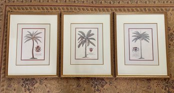 Custom Framed Palm Tree Prints Of Plates Dedicated To HRH Frederick Prince Of Wales By J. D. Ehret