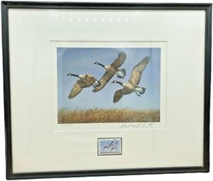 1982 North Dakota Duck Stamp Print Signed Richard Plasschaert
