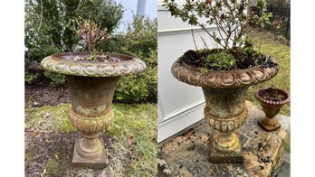 Pair Of Substantial Iron Planters With Living Azaleas