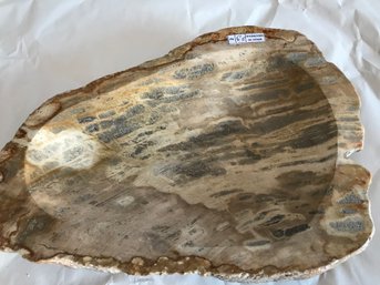 Petrified Wood Candy Bowl, 6 LB 6 Oz, 10 1/4 Inch By 7 1/2 Inch