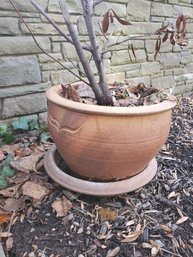 Large Terracotta Pottery Planter With Underplate