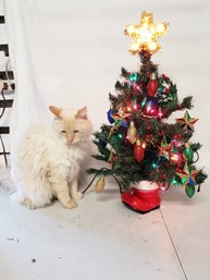 Small Decorative Christmas Tree In A Boot