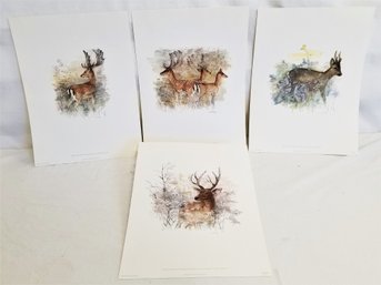 Vintage Mags Stage Watercolor 4 Studies Prints Deer Buck Nature  (Lot 2)