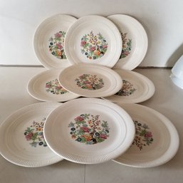 1940's Indian Tree Pattern Salem China Made In USA (set Of 9)