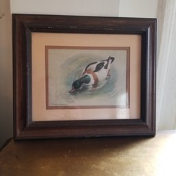Vintage Basil Ede Duck Print In Frame 12' X 10'