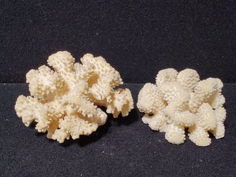 Two Clusters Of Sea Coral - Including Cauliflower Coral