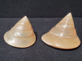 Two Pearl Trochus Troca Spiral Top Mother Of Pearl Seashells