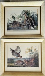 Pair Of Framed Antique Mallard Duck And Pinnated Grous Prints From R. Havell 1834