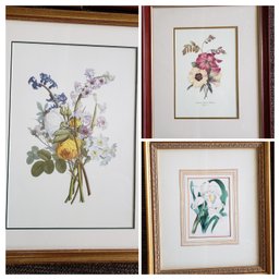 Trio Of Framed Vintage Botanical Prints