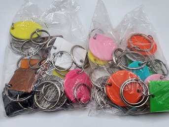 Lot Of 24 Different Color Keyring Tags