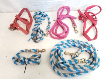 Horse Halters & Lead Ropes