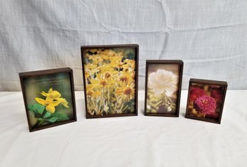 Set Of Four Miniature Boxed Wild Flower Wall Prints