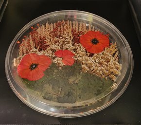 ShadowSphere Of Pressed Flowers And Wheat.  Interesting.        -          -          -      Loc:BHS9