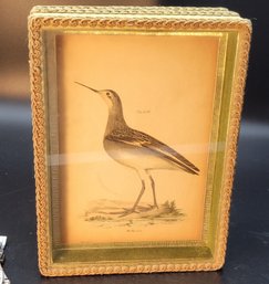 Gold Colored Fabric - Keepsafe Box With Bird Shadow Box Front. -        -         -        -      Loc:Kcab3