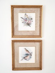 Two Framed The Bombay Company Vintage Color Bird Finch Etchings